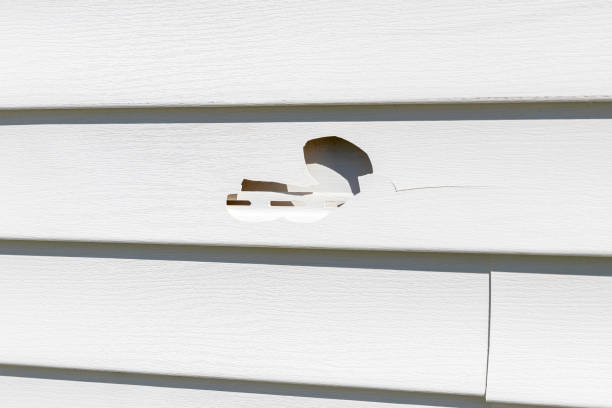 Professional Siding Installation & Repair in Hurst, TX